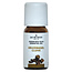 Kruidnagel olie 10 Milliliter