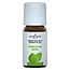 Jacob Hooy Basil Oil 10 Millilitres