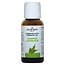 Camphor Oil 30 Millilitres