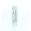 Homeoden Heel Hepar sulphur D12 6 g