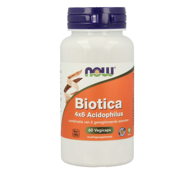 NOW Biotica 4x6 acidophilus 60 vegetarische Kapseln