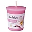 Bougie votive Bolsius True Scents 53/45 ronde magnolia 1 pièce