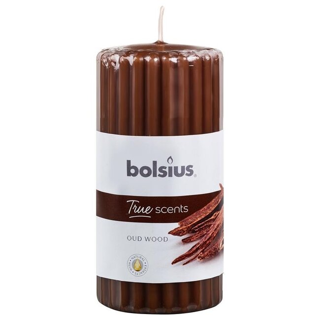 Vela de taco perfumada Bolsius True Scents 120/58 old wood 1 unidad