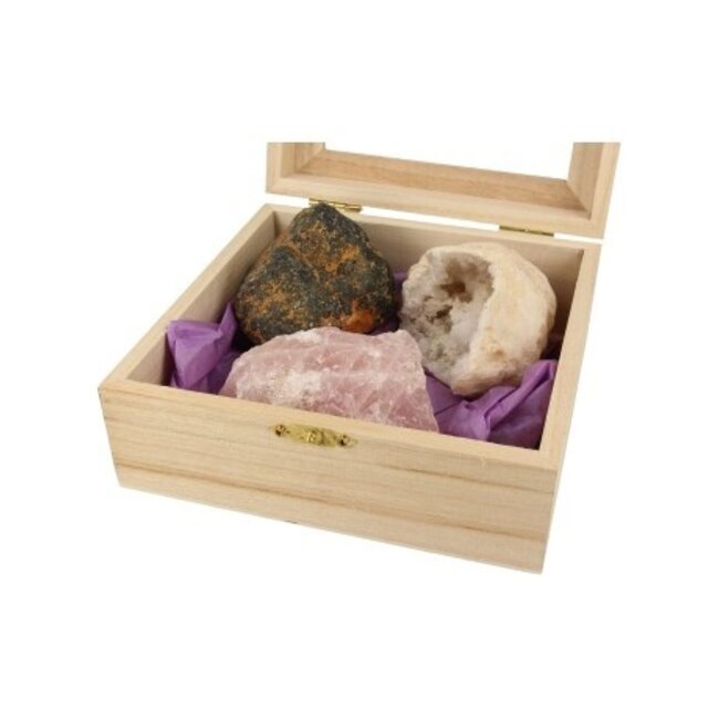 Kit Anti-Radiazioni XL Ruben Robijn 1 Pezzo