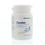 Metagenics Candex 45 Capsules