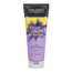 John Frieda Violet Crush Purple Conditioner 250 Milliliter
