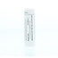 Homeoden Heel Argentum metallicum D30 6 g