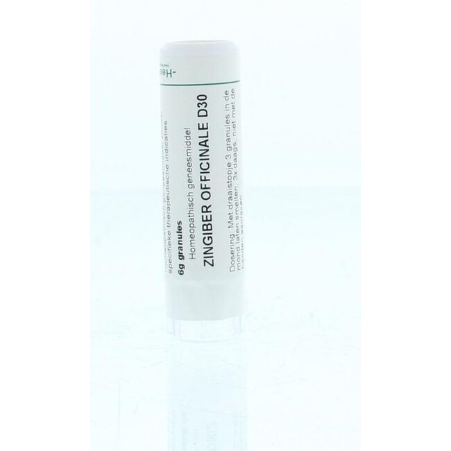 Homeoden Heel Zingiber officinalis D30 6 gramos