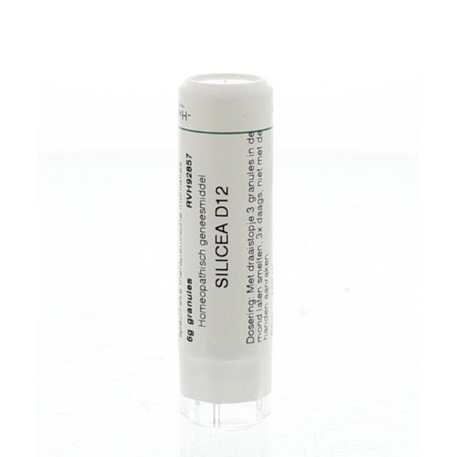 Homeoden Heel Silicea D12 6 Grammi
