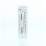 Homeoden Heel Sulphuricum acidum D6 6 Gramm