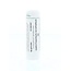 Homeoden Heel Sarothamnus scoparius D6 6 Gram