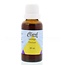 Clark Solidago guldenroede 30 Milliliter