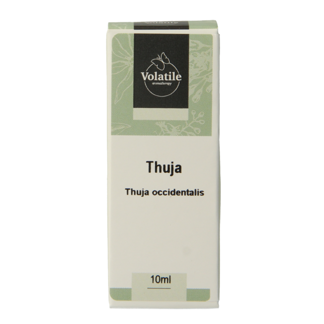 Olejek Eteryczny Żywotnik (Thuja) Volatile 10 Mililitrów