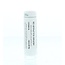 Hepar sulphur D6 6g