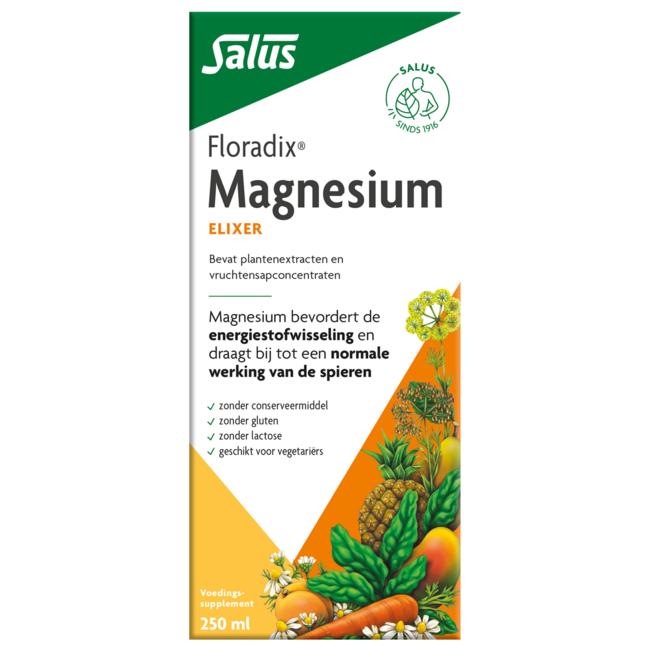 Salus Floradix Magnésium 250 ml