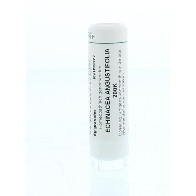 Homeoden Heel Echinacea angustifolia 200K 6 Gramm
