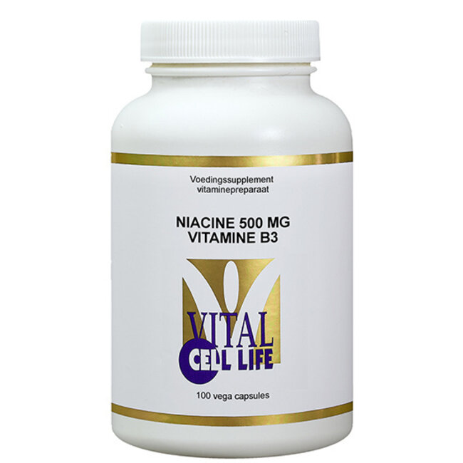 Vitamin B3 Niacin 500mg 100 Capsules