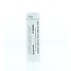 Homeoden Heel Mercurius solubilis 30K 6 Grammes