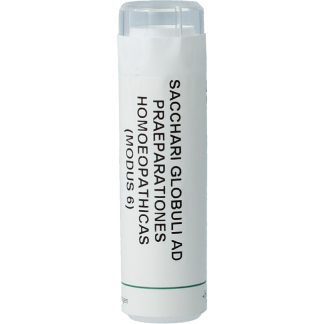 Homeoden Heel Saccharum officinalis/Placebo granulki 6 Gram