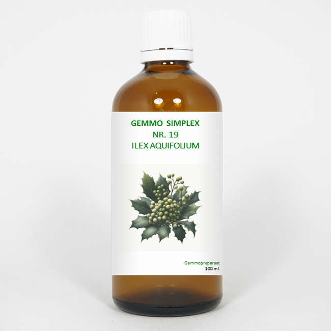 Balancepharma Gemmo simplex 19 ilex aquifolium 100 ml