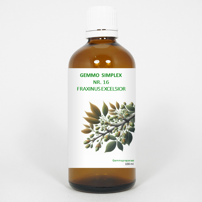 Balancepharma Gemmo simplex 16 fraxinus excelsior 100 mililitrów