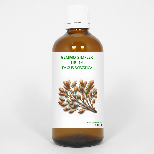 Balancepharma Gemmo simplex 14 Fagus sylvatica 100 Millilitri