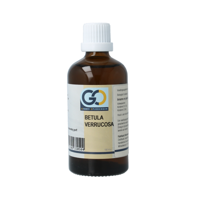 GO Betula verrucosa bio 100 Millilitres