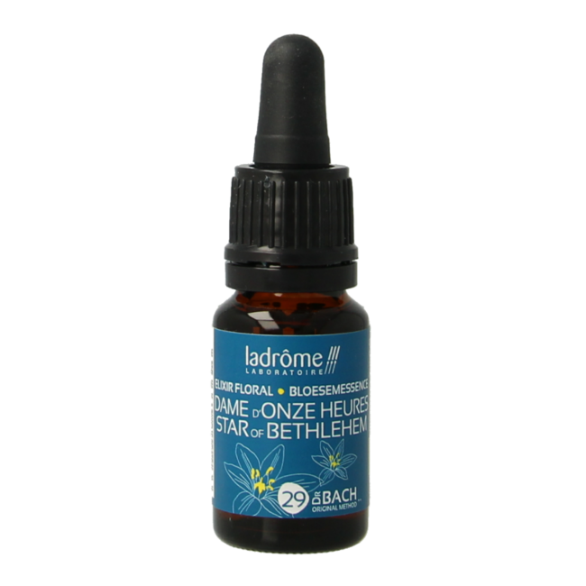 Ladrome Organic Star of Bethlehem 10ml