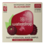 Microdrink Blackberry 12 Pieces