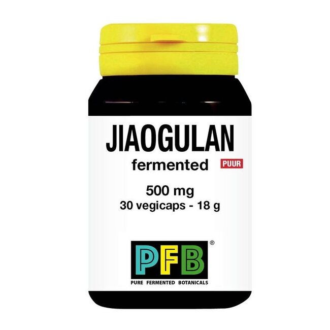 Jiaogulan fermentado 500mg puro 30 cápsulas vegetales