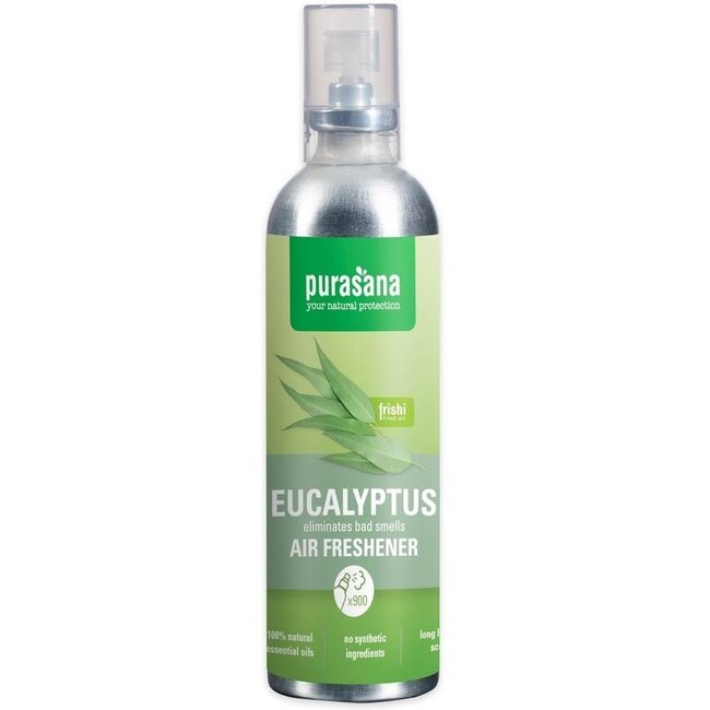 Frishi eucalyptus air freshener 100ml