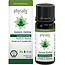 Synergie Green Detox Bio 10 Milliliter