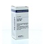 Sambucus nigra D6 10 Gramo