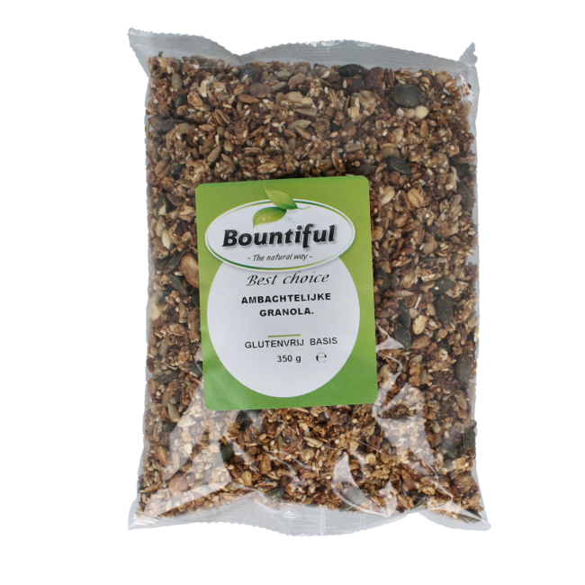 Rzemieślnicza granola bezglutenowa bio 350 gramów