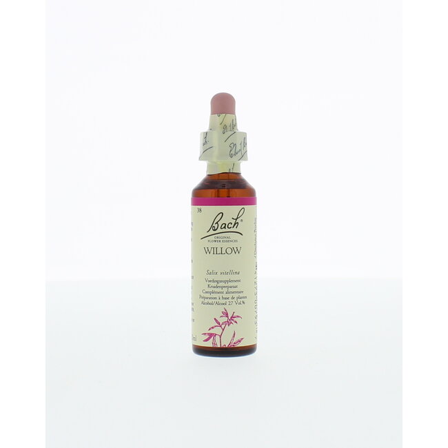 Willow/Saule 20 Millilitres