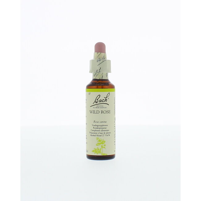Églantine (Wild Rose) 20 ml