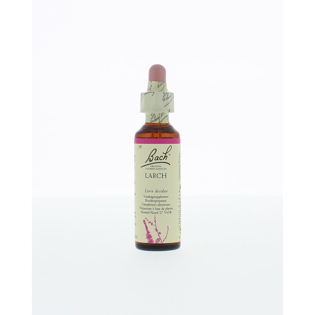 Lärche 20 Milliliter