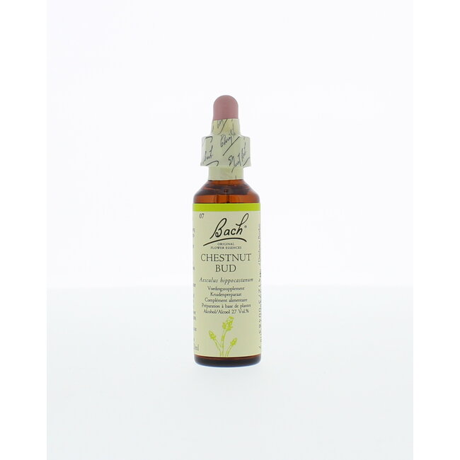 Chestnut bud / Brote de castaño 20 ml
