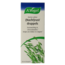 Avena sativa (Night) Rest 100 Millilitres
