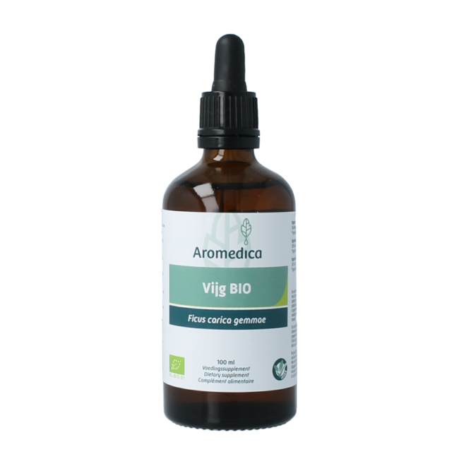 Vijg - Ficus carica gemmae bio 100 Milliliter