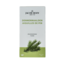 Té de agujas de pino 20 bolsitas