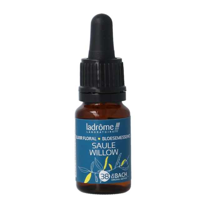 Willow Organic 10ml