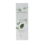 Soothing oil 100 Milliliter