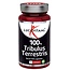 100% tribulus terrestris 60 kapsułek