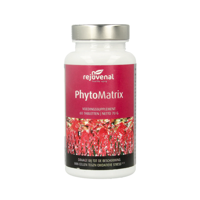 Phytomatrix 60 Tabletten