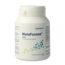 Metafucose HMO 90 Kapseln