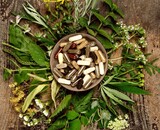 Mariendistel und Zitronenmelisse: Zwei Kräuter mit großer Wirkung