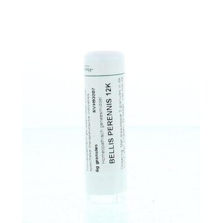Homeoden Heel Bellis perennis 12K 6,00 Gramm