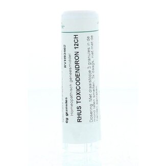 Homeoden Heel Rhus toxicodendron 12CH 6,00 Gramm
