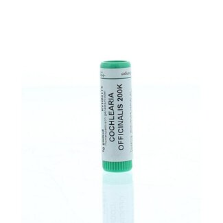 Homeoden Heel Cochlearia officinalis 200K 1.00 Gram
